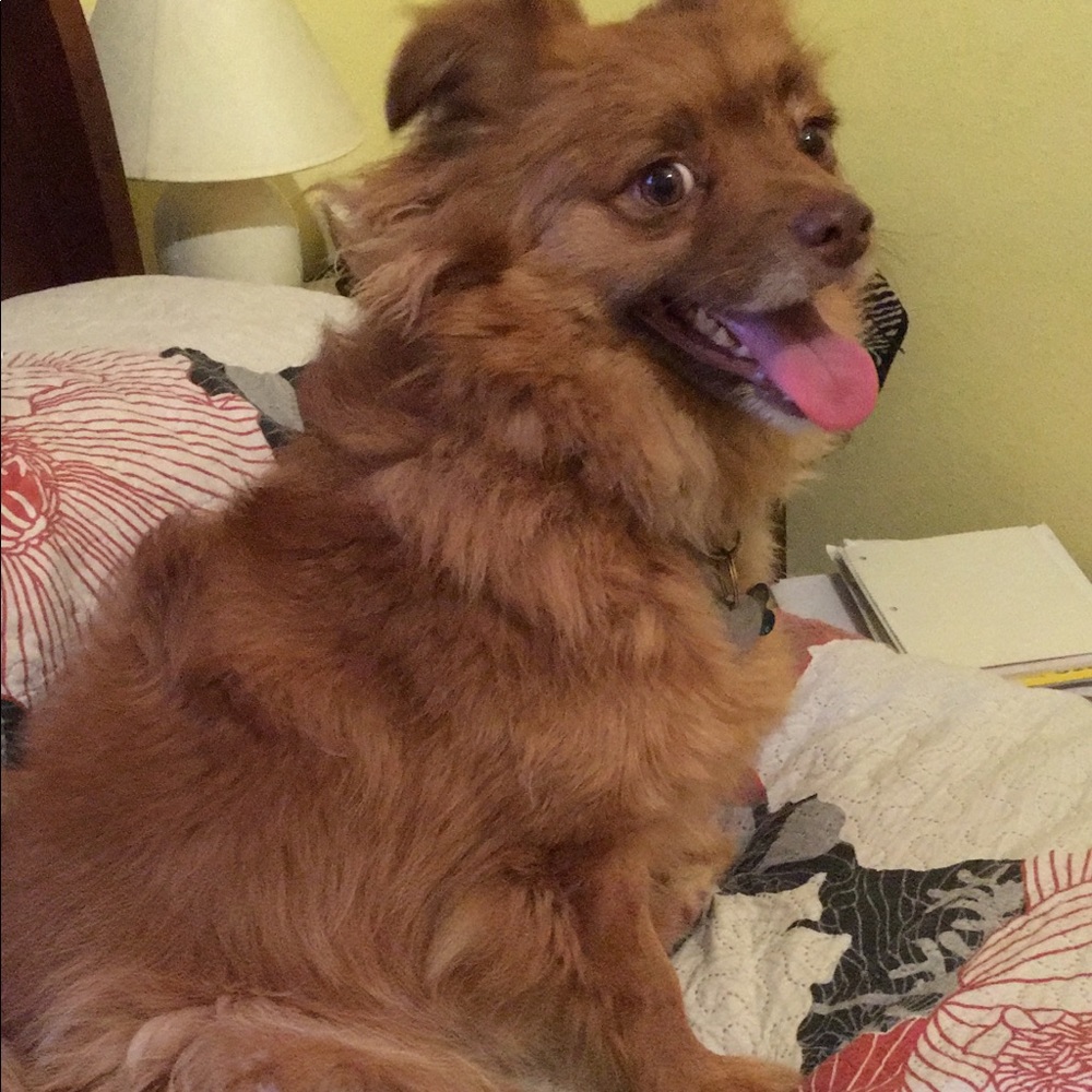 Meet your Posher, Marytsa